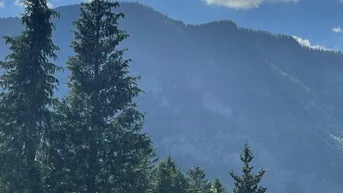 Expose Baugrundstück am Sonnenhang in sonniger und ruhiger Lage