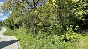 Expose Baugrundstück am Sonnenhang in sonniger und ruhiger Lage