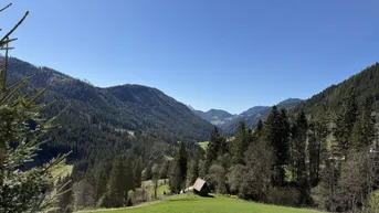 Weitläufiger Blick über grüne Hügel und bewaldete Berge unter klarem blauem Himmel.