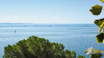 Expose Italien - Costiera: Traumhafte Villa mit Meerblick und Pool nahe Triest | Italy - Costiera: Fantastic villa with sea view and pool close to Trieste