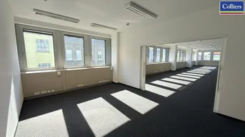 Geräumiges Büro mit Teppichboden, großen Fenstern und viel Tageslicht, ideal für produktives Arbeiten.