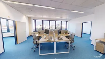 Großes, helles Büro mit blauer Teppichboden, mehreren Arbeitsplätzen und großen Fenstern.
