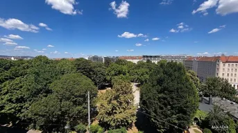 Weitläufiger Blick über grüne Baumwipfel und die Dächer der Stadt unter blauem Himmel.