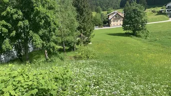 Expose Idyllisches Grundstück in Lackenhof