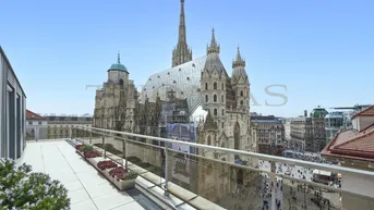 Expose Penthouse mit Blick auf den Stephansdom