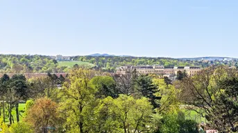 Weitläufiger Blick über eine grüne Parklandschaft mit historischen Gebäuden und blauem Himmel.