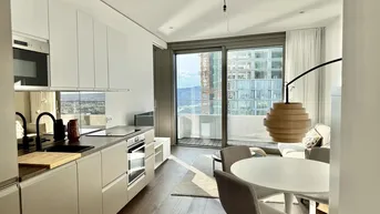 Expose NEU! 42. Etage! Möbliert - Doorman, Gym, Pool UND den schönsten Ausblick auf Kahlenberg