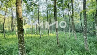 Expose Erholung pur im eigenen Wald mit Bach und Wiesen nähe Amstetten