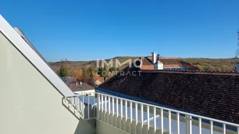 Geräumige Dachterrasse mit weißem Geländer und weitem Blick über die Landschaft und Dächer.