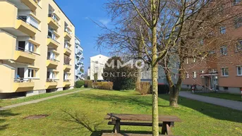 Gemeinschaftsgarten mit Picknicktisch und Bäumen zwischen den Wohngebäuden.