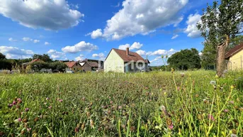 Ländliches Haus umgeben von einer weiten Wiese unter blauem Himmel mit Wolken.