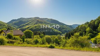 Sonnige Berglandschaft mit grünen Hügeln und einem Haus am Hang, ideal für Naturliebhaber.