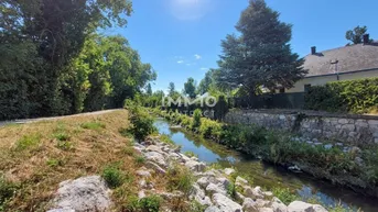 Idyllische Flusslandschaft mit üppiger Vegetation und einem Haus im Hintergrund an einem sonnigen Tag.