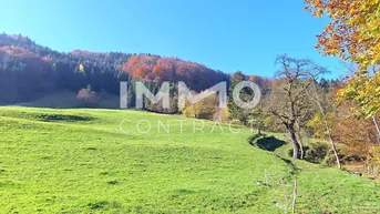 Expose 17,33 ha Landwirtschaftliche Fläche - Wiese - Weide - Wald mit Quellen und Wasserzugang
