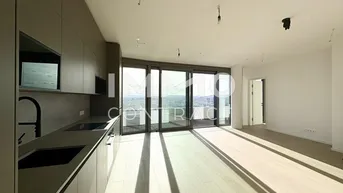 Expose TOP-Aussicht auf City, Kahlenberg, Donau: Erstbezug DANUBEFLATS mit Gym, Saunen, Pool, Bar &amp; Lounge