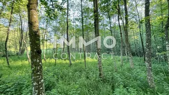 Expose Erholung pur im eigenen Wald mit Bach und Wiese