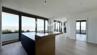 Expose DANUBEFLATS: Stephansdom, Kahlenberg, Neue Donau - alles im Blick! Gym, Pool, Spa, Lounges, Doorman