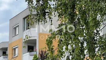 Expose Dachgeschoß für sportliche nähe Wien 2 Garagenplätze im Herzen von Guntramsdorf!