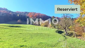 Expose 17,33 ha Landwirtschaftliche Fläche - Wiese - Weide - Wald mit Quellen und Wasserzugang