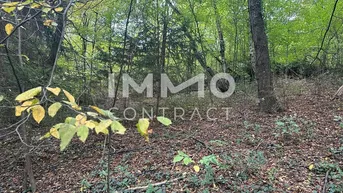 Expose Leben am Waldrand! Baugrundstück im Wienerwald! Nahe an Wien!