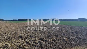 Expose Landwirtschaftliche Ackerfläche 1,98 ha in Waldviertel - Raum Zwettl