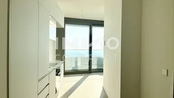 Expose ERSTBEZUG: Mit dieser Vorsorgewohnung hoch hinaus: DANUBEFLATS. Top-Ausstattung, super Ausblick!