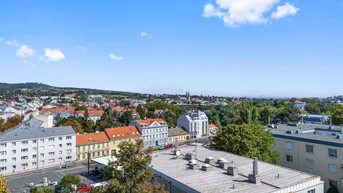 Expose Exklusives Rooftop Retreat: inkl. Pool - Ein Wohnjuwel der Extraklasse: Wo architektonisches Erbe auf modernen Luxus trifft