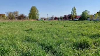 Expose Betriebsgründe im Herzen von Krems an der DonauLangfristig zu mieten!