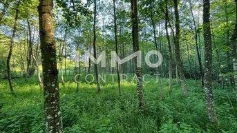 Expose Erholung pur im eigenen Wald mit Bach und Wiese