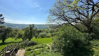 Expose PUCHENAU: Einmalige Symbiose aus STADT und LAND - Perfekt situiertes Baugrundstück -Gesamtfläche ca. 3.935 m² (mit Altbestand)