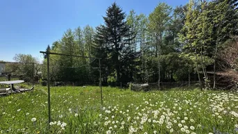 Expose WALDING: Baugrundstück ca. 1020 m² (mit Altbestand) in sehr guter und begehrter Lage
