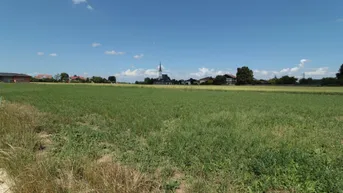 Expose Ebenes, sonniges Grundstück in attraktiver Lage nahe Badesee in Mühlheim am Inn