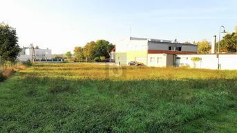 Expose SONNIG, QUADRATISCH &amp; IN TOLLER LAGE
