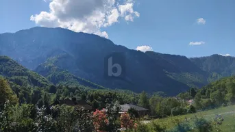 Expose DEN BERGEN NAHE