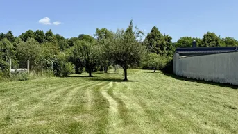 Expose LIEBEVOLL GEPFLEGT MIT PANORAMATERRASSE, NEBENGEBÄUDE UND SONNIGEM XXL GARTEN
