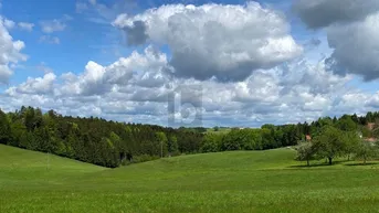 Expose Preisreduktion! LEICHTE HANGLAGE MIT TRAUMAUSSICHT IN DIE NATUR