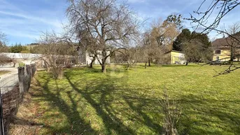 Großer Garten mit Rasenfläche und Obstbäumen unter blauem Himmel an einem sonnigen Tag.