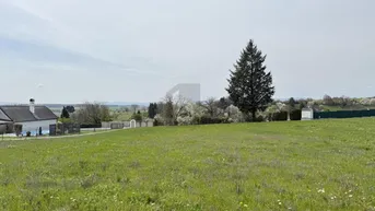 Expose PANORAMABLICK IN TOP RUHELAGE MT SÜD-WEST AUSRICHTUNG