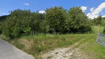 Expose GROßZÜGIGES GRUNDSTÜCK IN TRAUMLAGE
