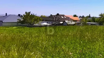 Expose BLICK AUF DEN NEUSIEDLERSEE - ERHÖHTE RUHELAGE