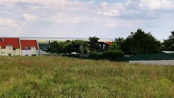 Expose BLICK AUF DEN NEUSIEDLERSEE - ERHÖHTE RUHELAGE