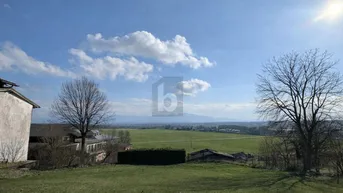 Weitläufige grüne Landschaft mit Fernblick auf die Berge unter einem strahlend blauen Himmel.