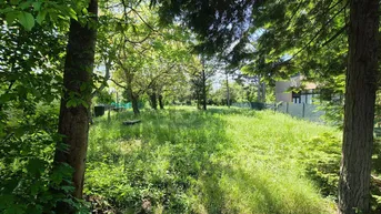 Expose IDYLLISCHE RUHELAGE
