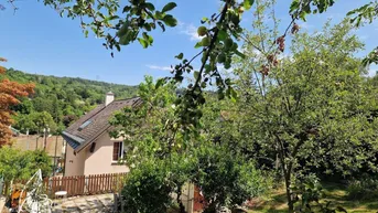 Expose Ideal für Familien - Vermietung Dachgeschoss (Zweifamilienhaus) mit Garten und Weitblick