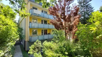 Expose "Leben wie im Baumhaus"