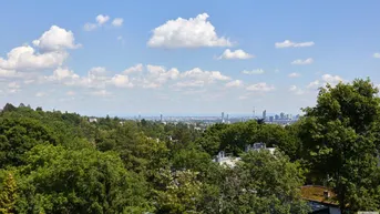Weitläufiger Panoramablick über eine grüne Landschaft mit der Skyline der Stadt am Horizont.