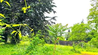 Expose Für Bauträger! 1.750m² erzielbare Neubau-Wohnnutzfläche in sehr guter Lage!