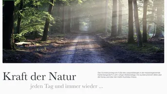 Expose Penthouse auf 2 Etagen, mit Waldsauna - Wald | Berg | Fluss amBergblick19, Top 11+12