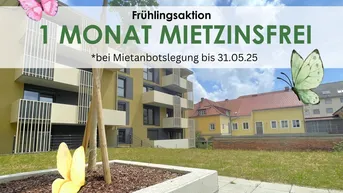 Expose Exklusiver Erstbezug mit Schlossbergblick: Urbanes Wohnen in Bestlage von Graz - AKTION - 1 MONAT HAUPTMIETZINSFREI