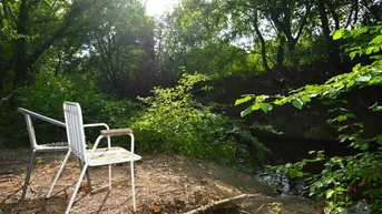 Natürlicher Gartenbereich am Bachlauf mit einfacher Sitzgelegenheit unter Bäumen.